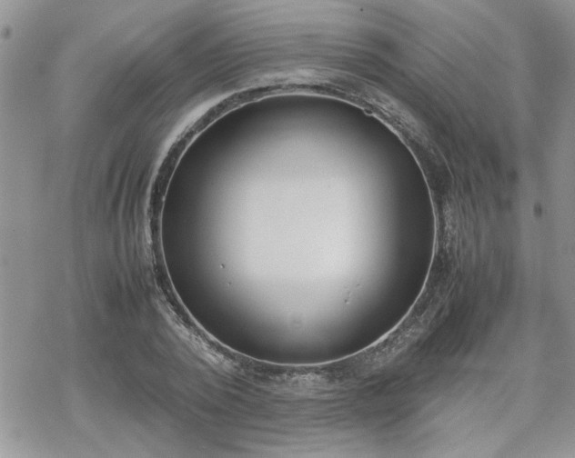 X0000070380784200606121251