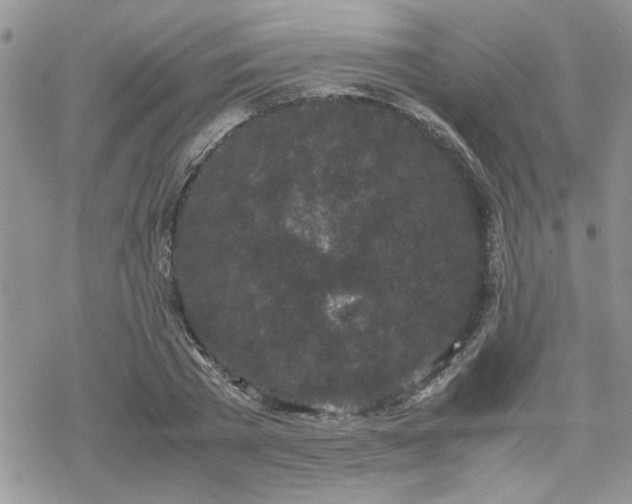 X0000070380785200606121251