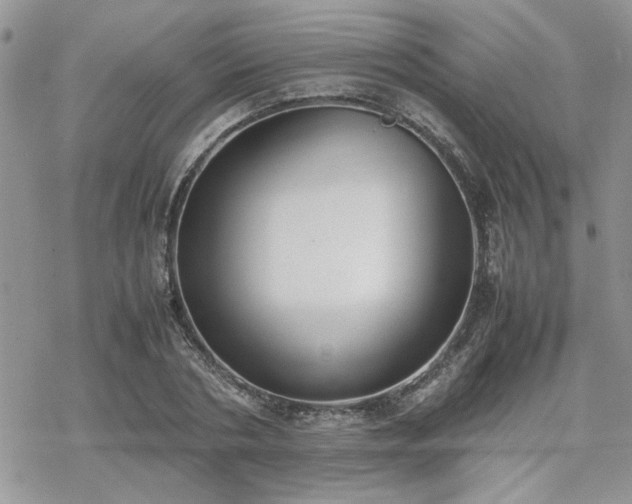 X0000070380786200606121251