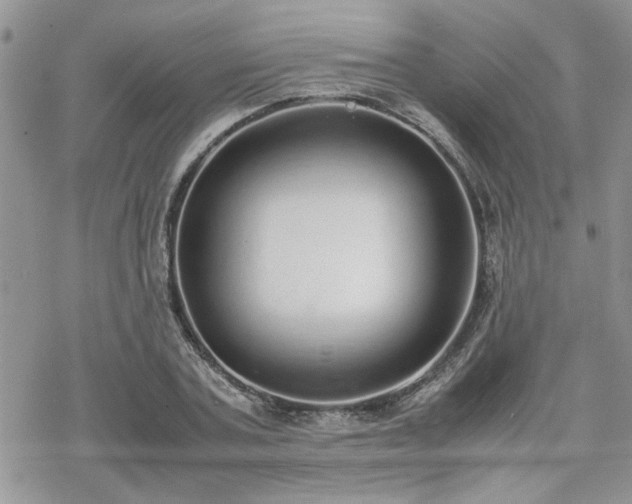 X0000070380787200606121251