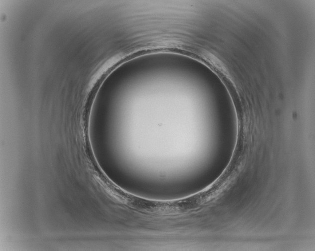 X0000070380789200606121251