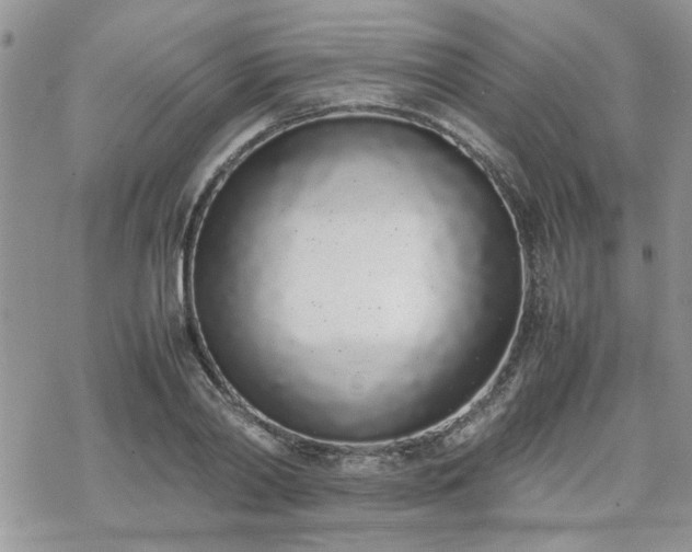 X0000070380790200606121251