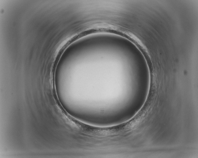 X0000070380791200606121251