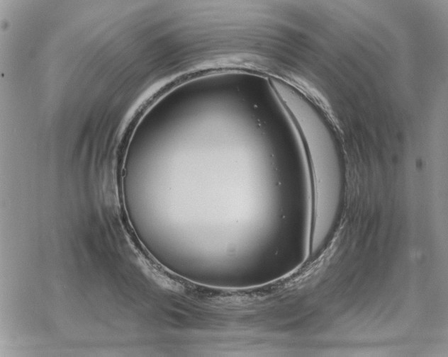 X0000070380792200606121251