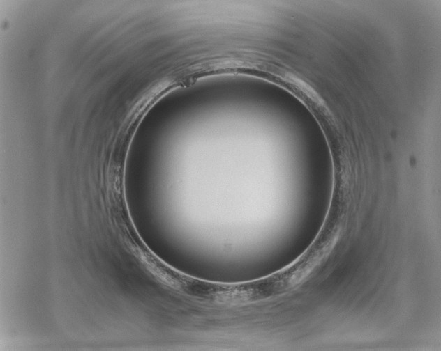 X0000070380793200606121251