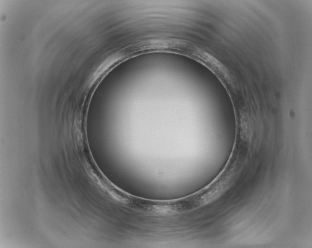 X0000070380794200606121251