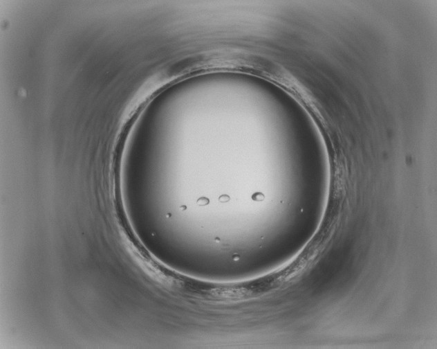 X0000070380795200606121251