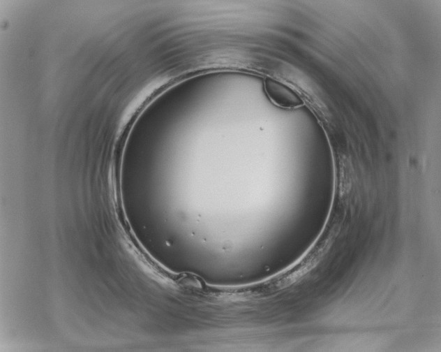 X0000070380796200606121251