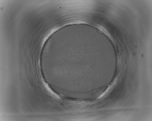 X0000070380797200606121251