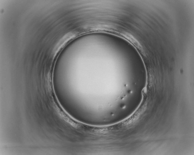 X0000070380798200606121251