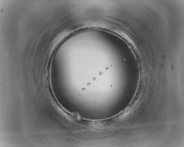 X0000070380799200606121251