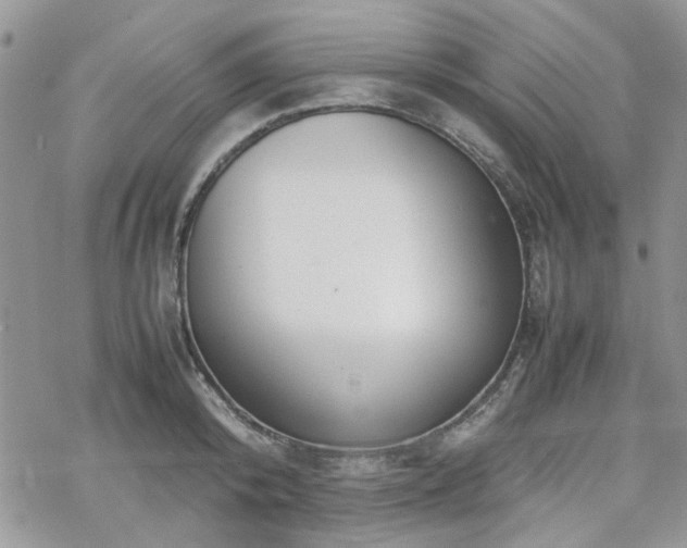 X0000070380800200606121251