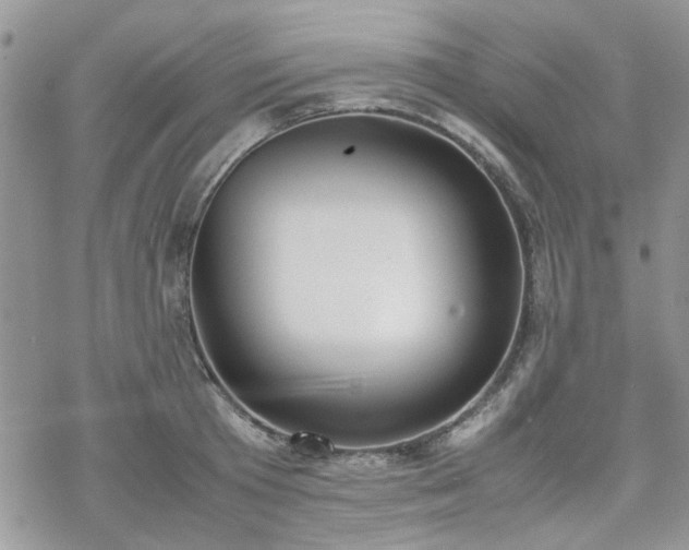 X0000070380801200606121251