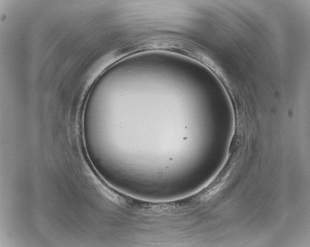 X0000070380803200606121251