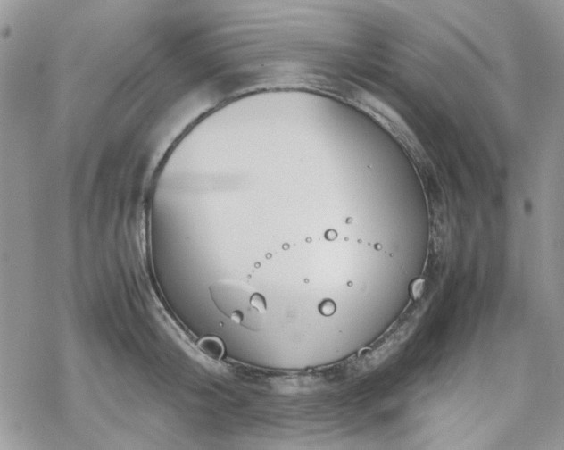 X0000070380804200606121251