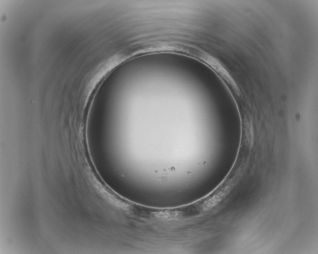 X0000070380805200606121251