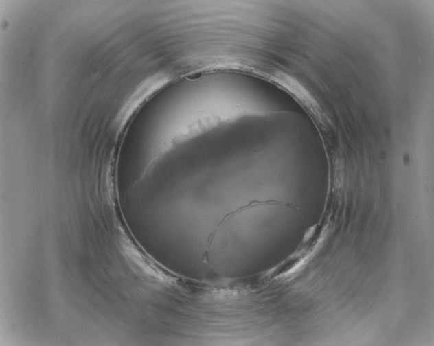 X0000070380806200606121251