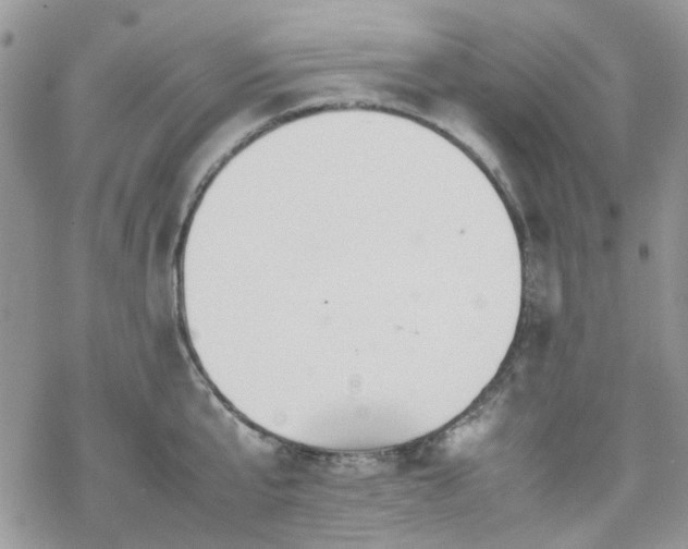 X0000070380807200606121251