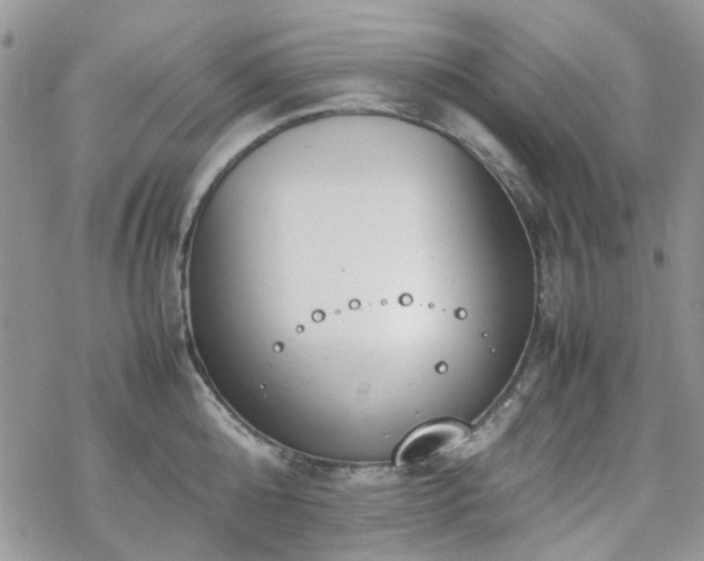 X0000070380808200606121251