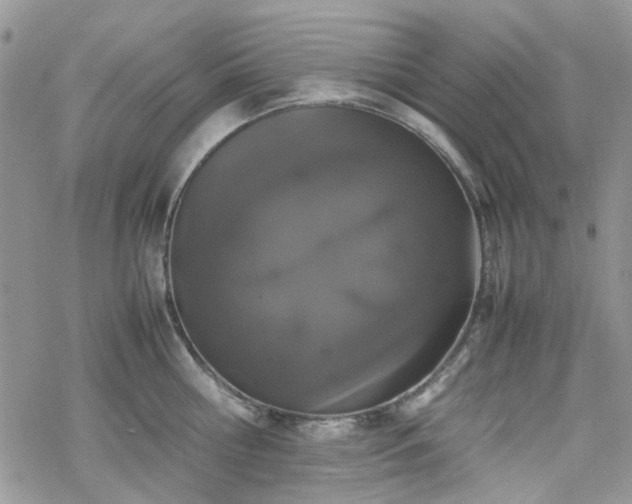 X0000070380810200606121251