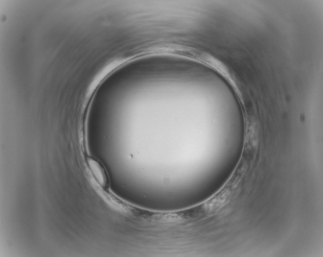 X0000070380811200606121251