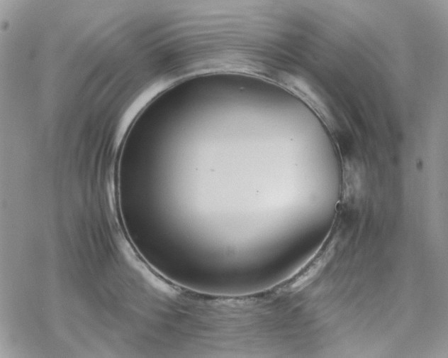 X0000070380812200606121251