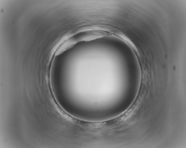 X0000070380813200606121251