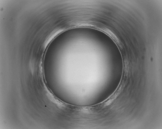 X0000070380814200606121251