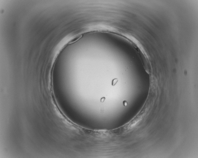 X0000070380815200606121251