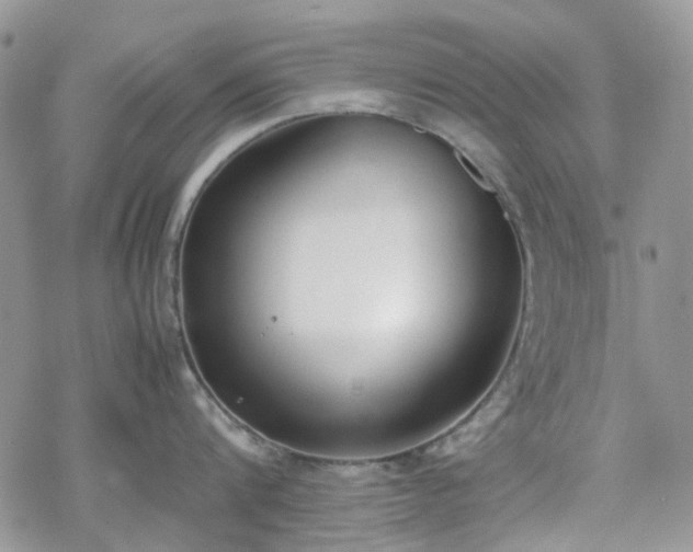 X0000070380816200606121251