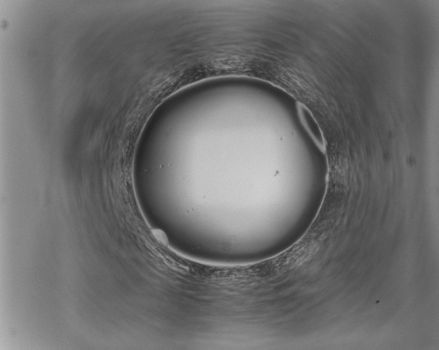 X0000070380817200606121250