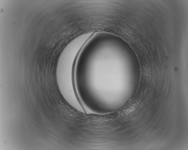 X0000070380818200606121250