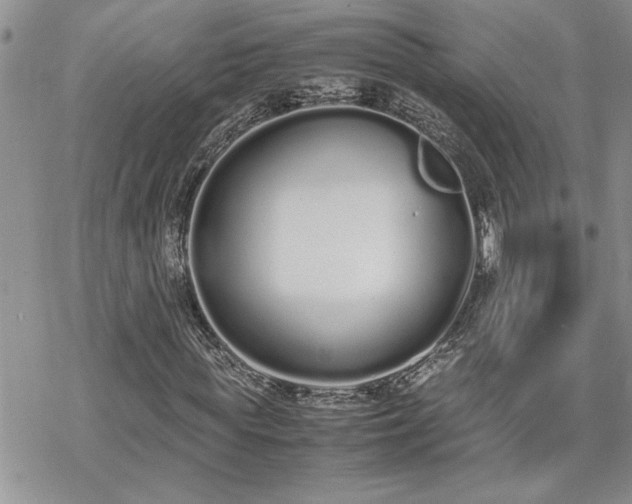 X0000070380819200606121250