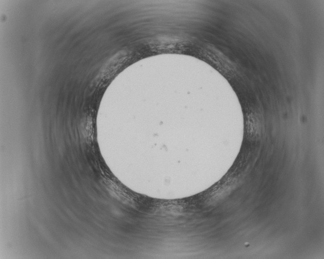 X0000070380820200606121250