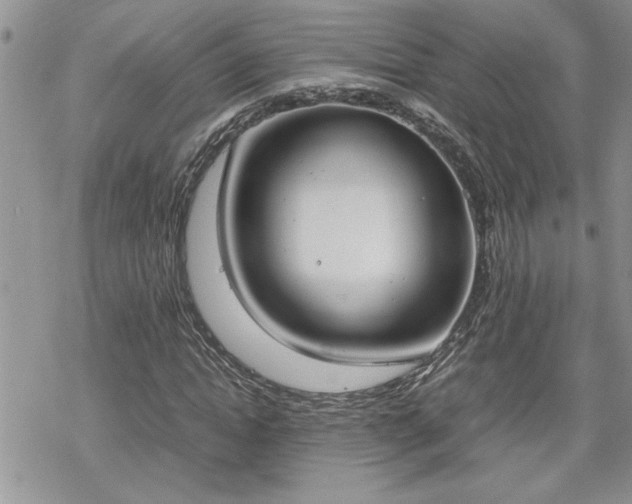 X0000070380822200606121250