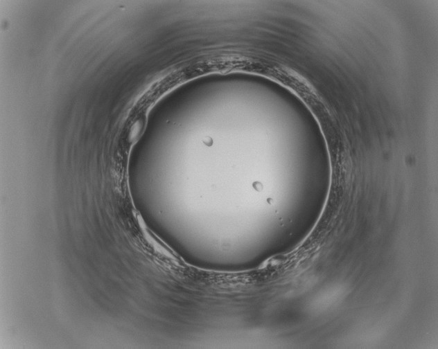 X0000070380823200606121250