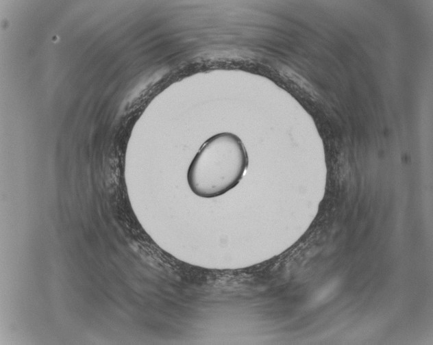 X0000070380824200606121250