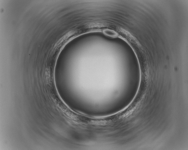 X0000070380825200606121250