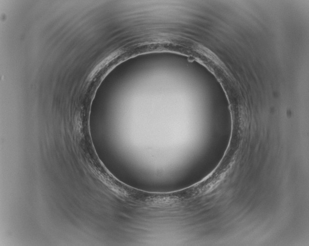 X0000070380826200606121250