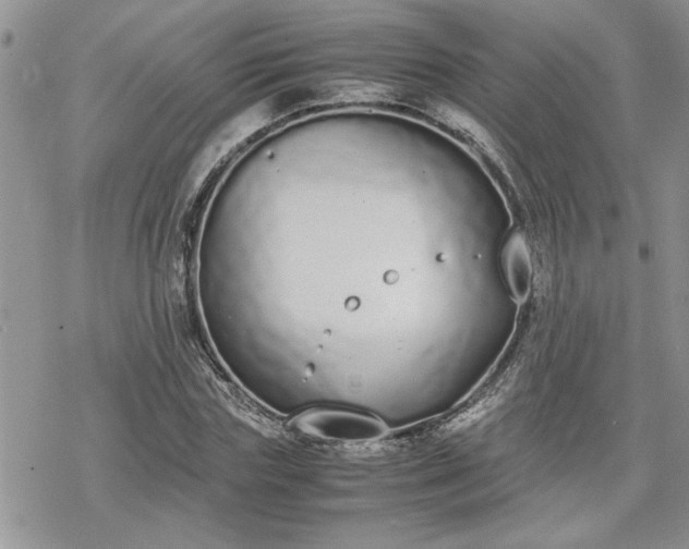 X0000070380827200606121250