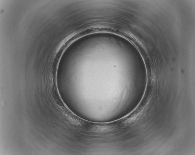 X0000070380829200606121250