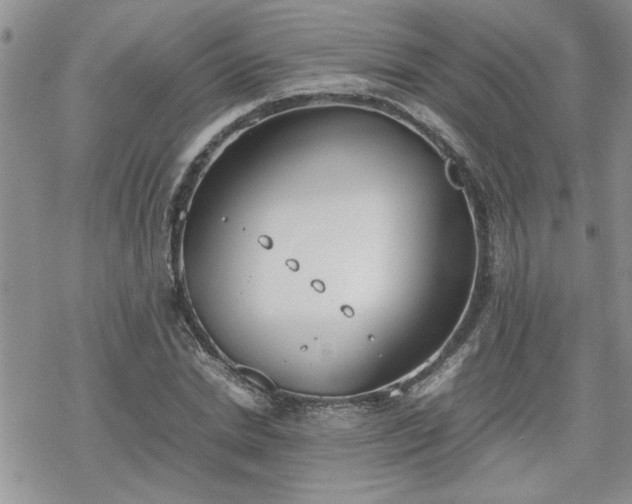 X0000070380830200606121250