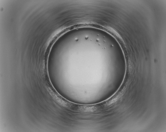 X0000070380831200606121250