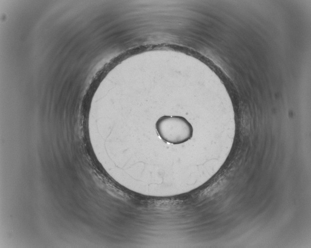 X0000070380832200606121250