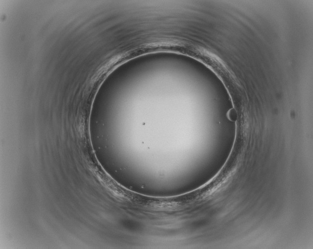 X0000070380833200606121250