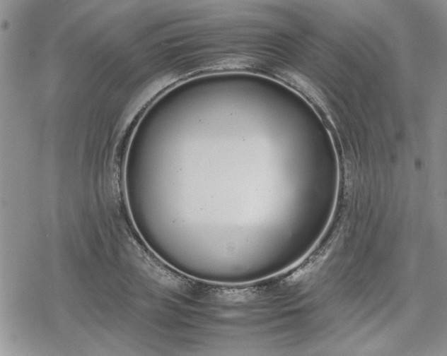 X0000070380835200606121250