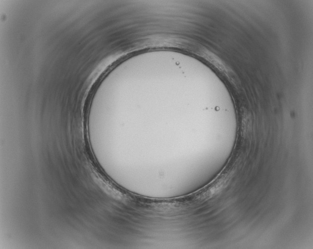 X0000070380836200606121250