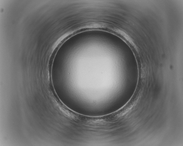 X0000070380837200606121250