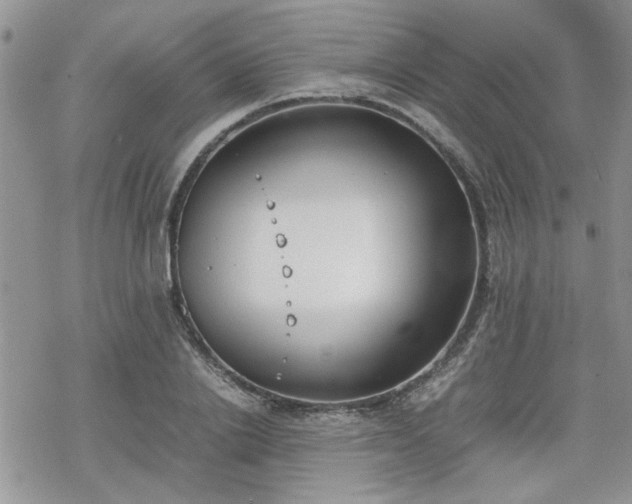 X0000070380838200606121251