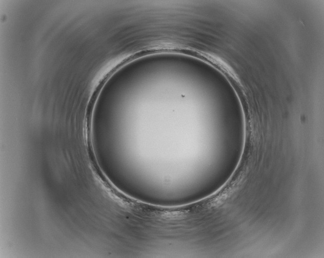 X0000070380839200606121251